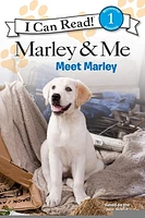 Marley & Me: Meet Marley