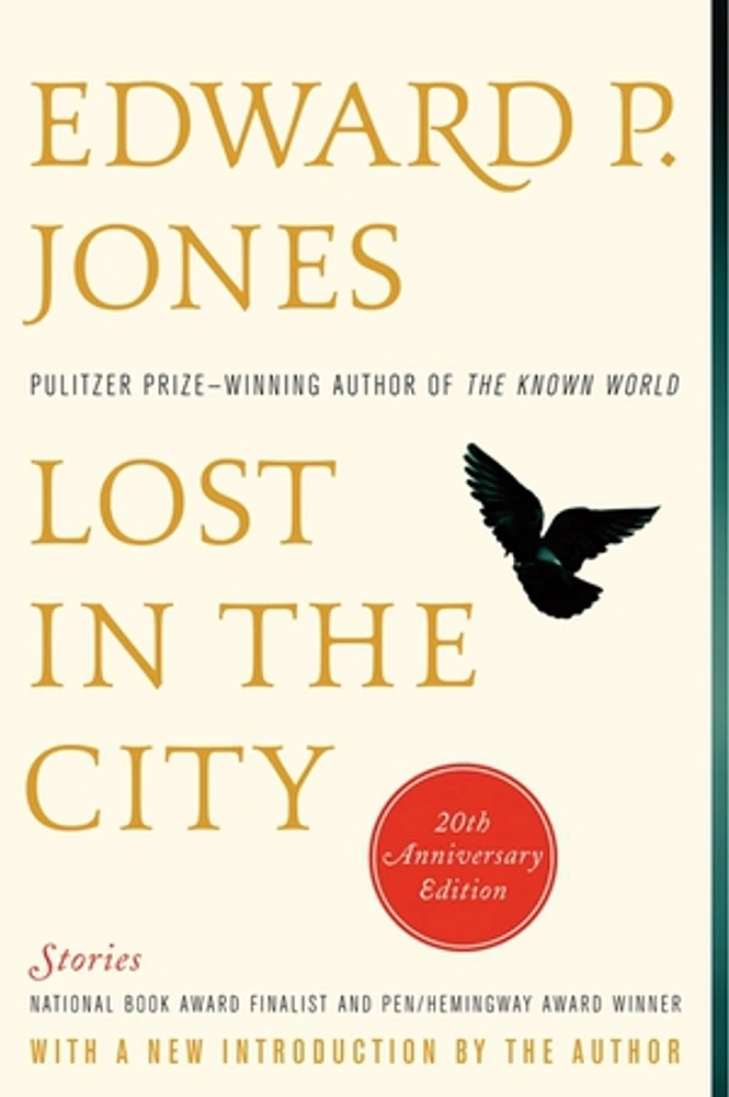 Lost in the City - 20th anniversary edition