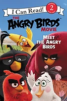 The Angry Birds Movie: Meet the Angry Birds