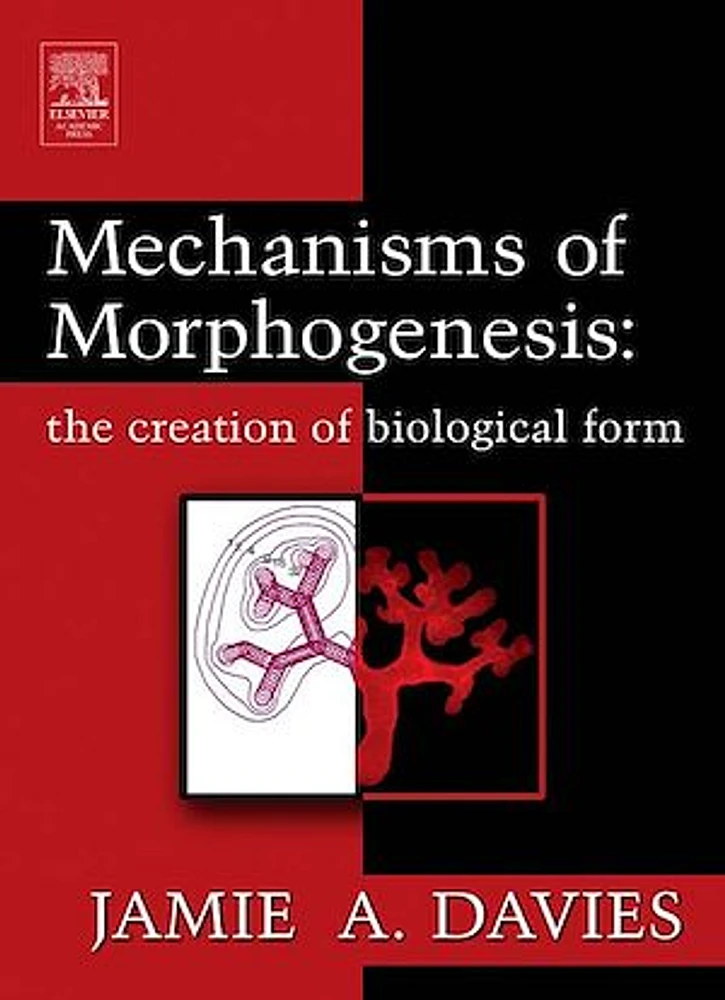 Mechanisms of Morphogenesis