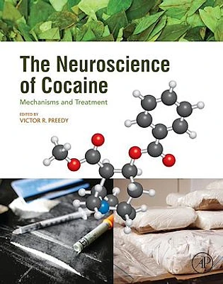 The Neuroscience of Cocaine