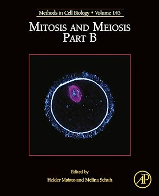 Mitosis and Meiosis Part B