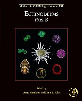 Echinoderms Part B