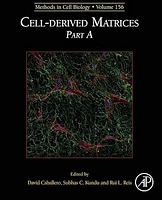 Cell-derived Matrices Part A