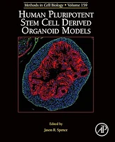 Human Pluripotent Stem Cell Derived Organoid Models