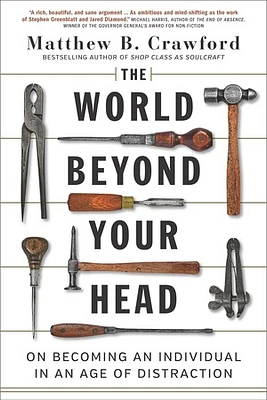 The World Beyond Your Head