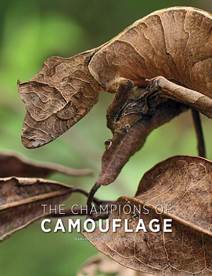 The Champions of Camouflage