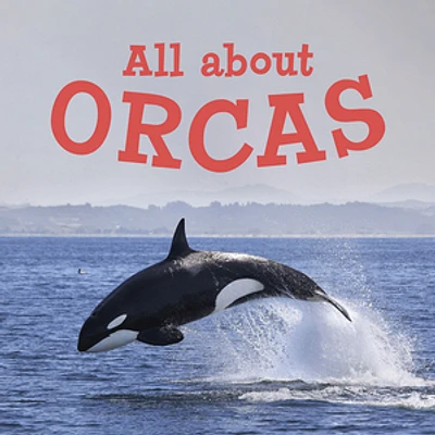 All about Orcas (English)