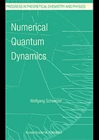 Numerical Quantum Dynamics