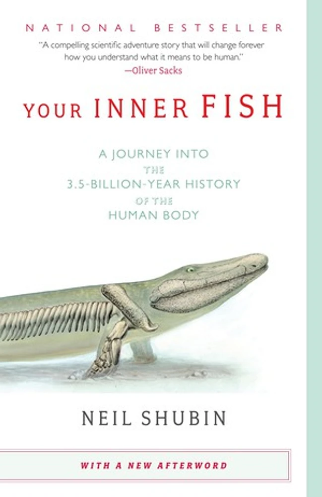 Your Inner Fish