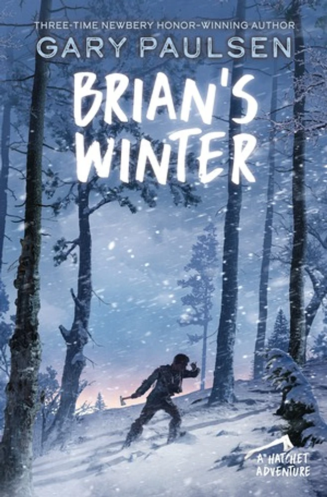 Brian's Winter