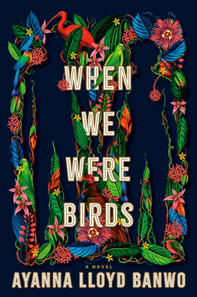 When We Were Birds