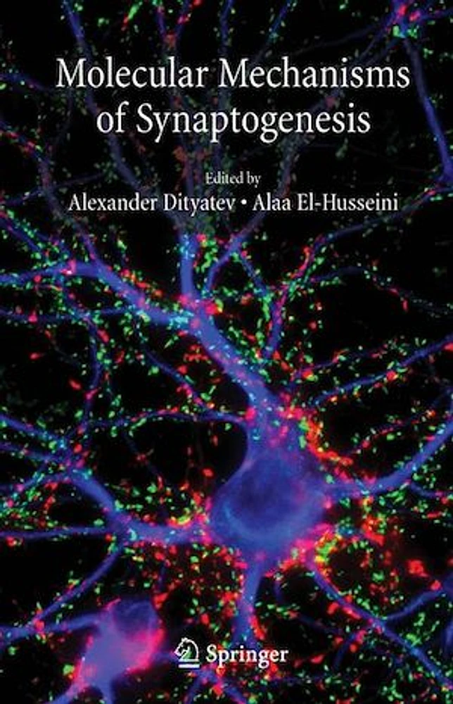 Molecular Mechanisms of Synaptogenesis