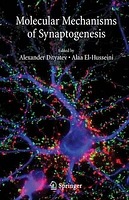 Molecular Mechanisms of Synaptogenesis