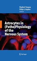 Astrocytes in (Patho)Physiology of the Nervous System