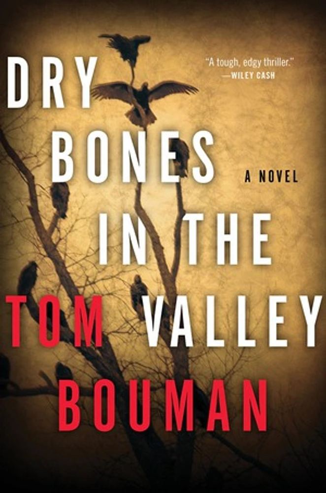 Dry Bones in the Valley