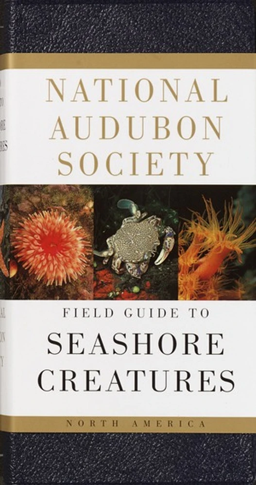 National Audubon Society Field Guide to Seashore Creatures