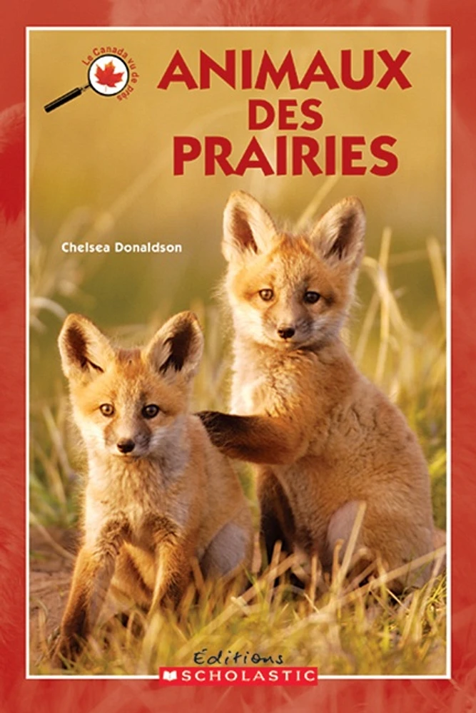 Animaux des prairies