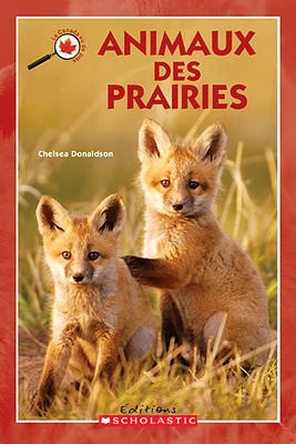 Animaux des prairies