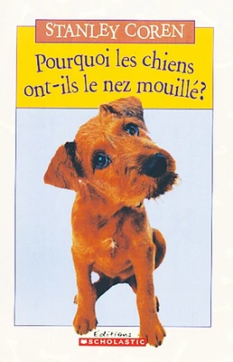 Pourquoi les chiens ont-ils le nez mouillé ?