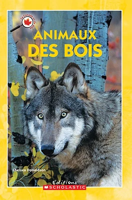 Animaux des bois