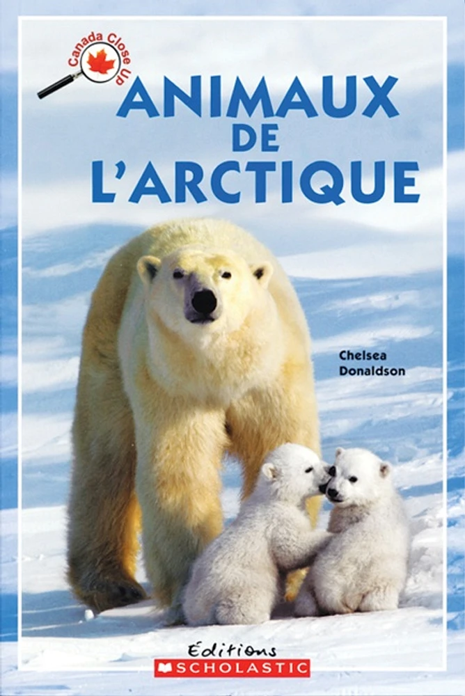 Animaux de l'Arctique