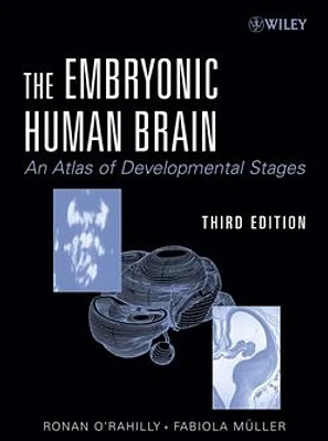 The Embryonic Human Brain: An Atlas Of Developmental Stages