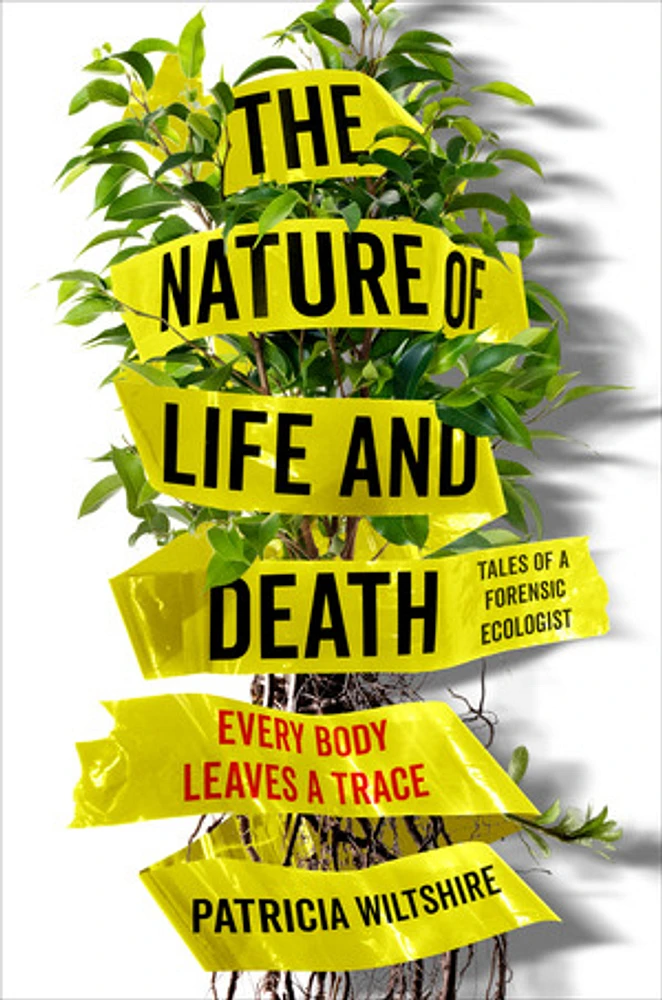 The Nature of Life and Death