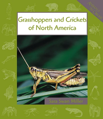 Animals in Order: Grasshoppers and Crickets of North America