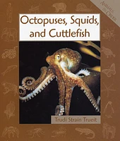 Animals in Order: Octopuses, Squids, and Cuttlefish