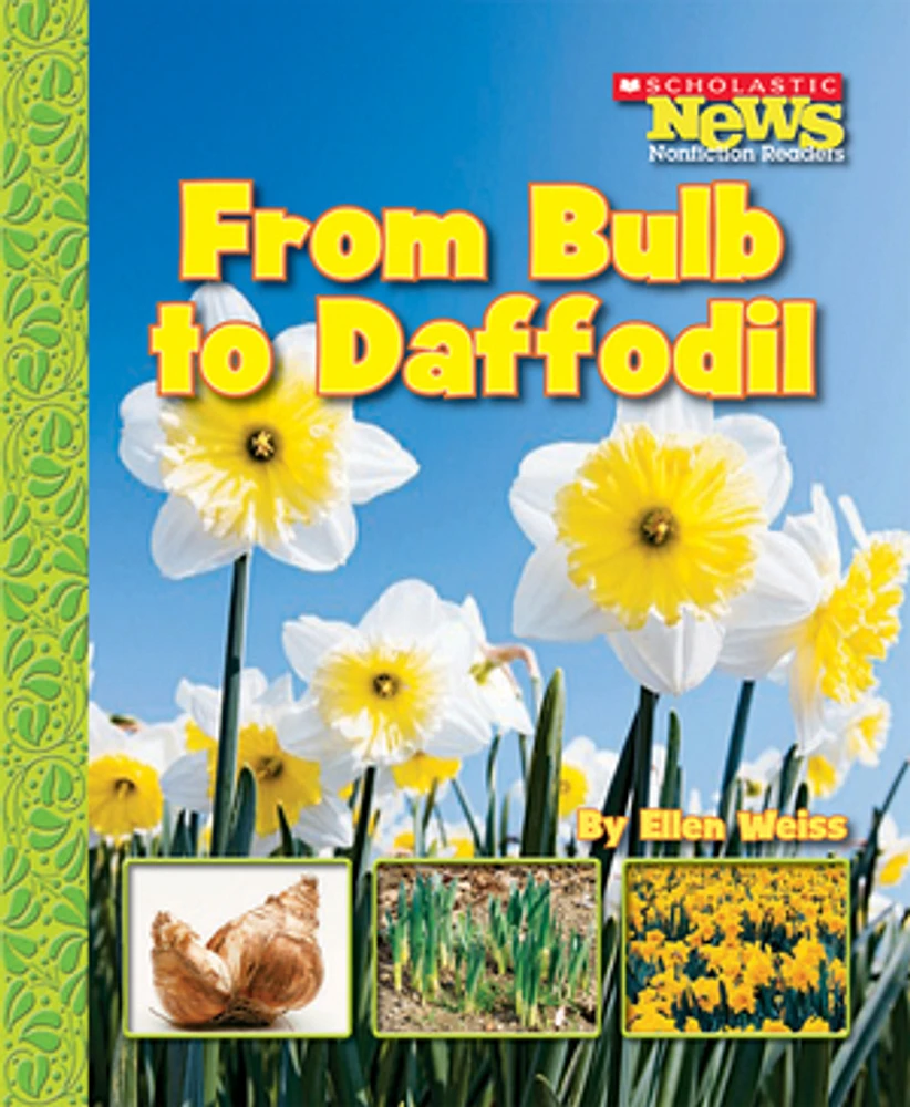 From Bulb to Daffodil (Scholastic News Nonfiction Readers: How Things Grow)