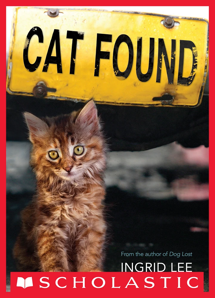 Cat Found