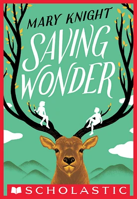 Saving Wonder