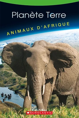 Animaux d'Afrique