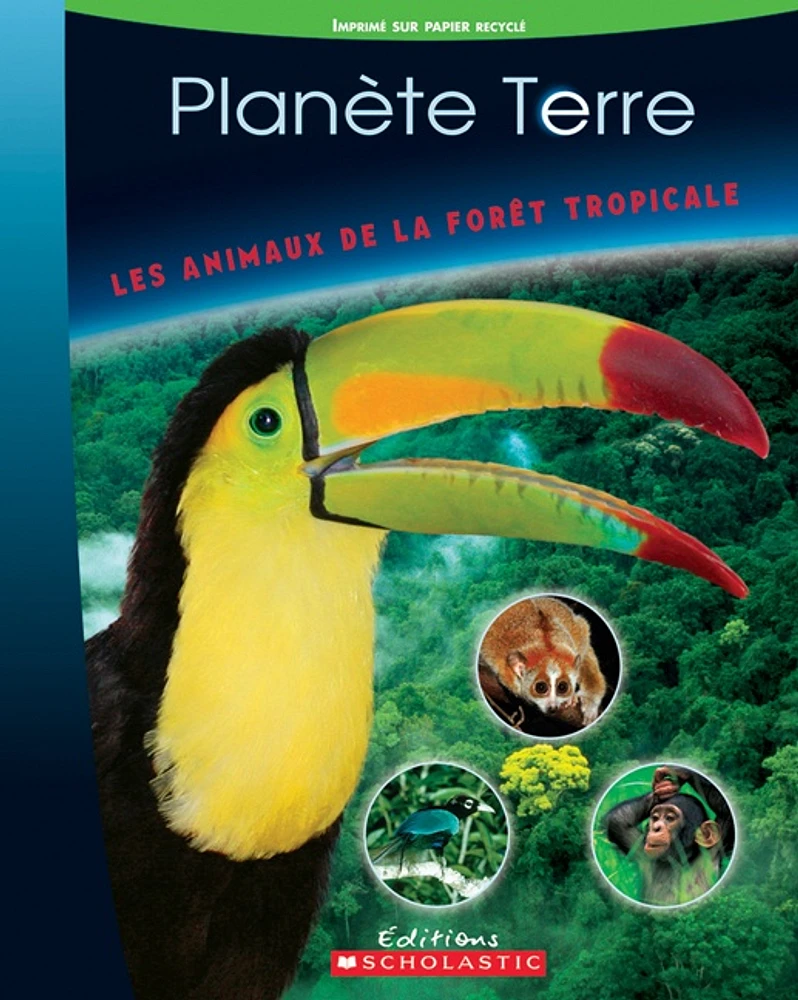 Animaux de la Forêt Tropicale (Les)