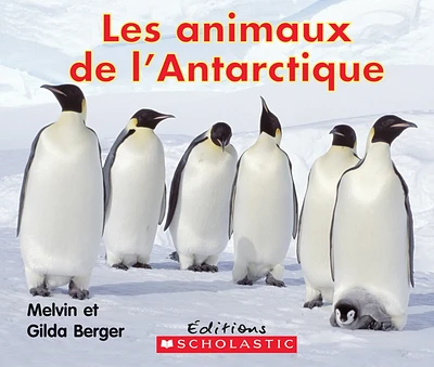 Animaux de l'Antarctique (Les)