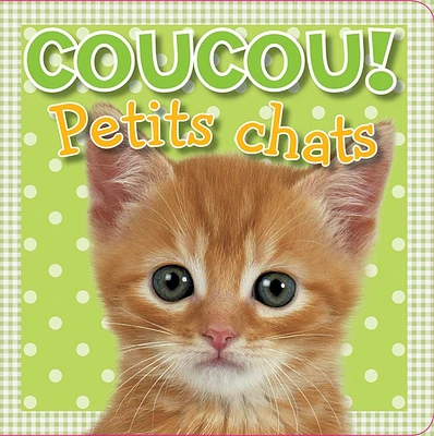 Petits chats