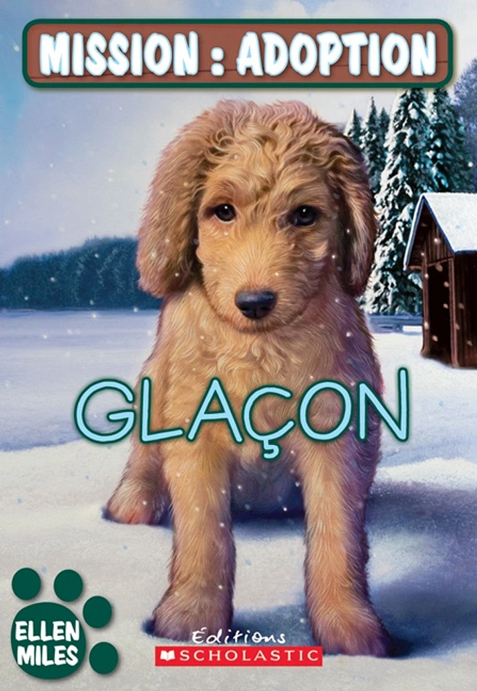 Mission: adoption. Glaçon