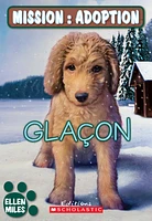 Mission: adoption. Glaçon