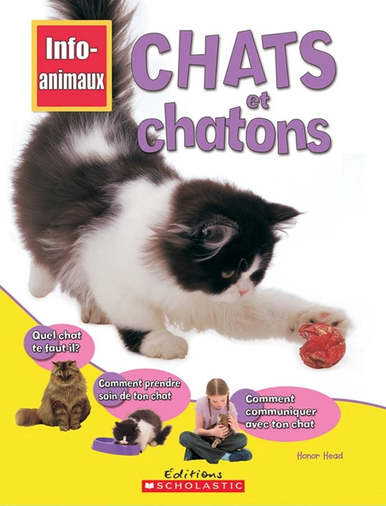 Chats et chatons