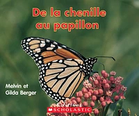 De la chenille au papillon