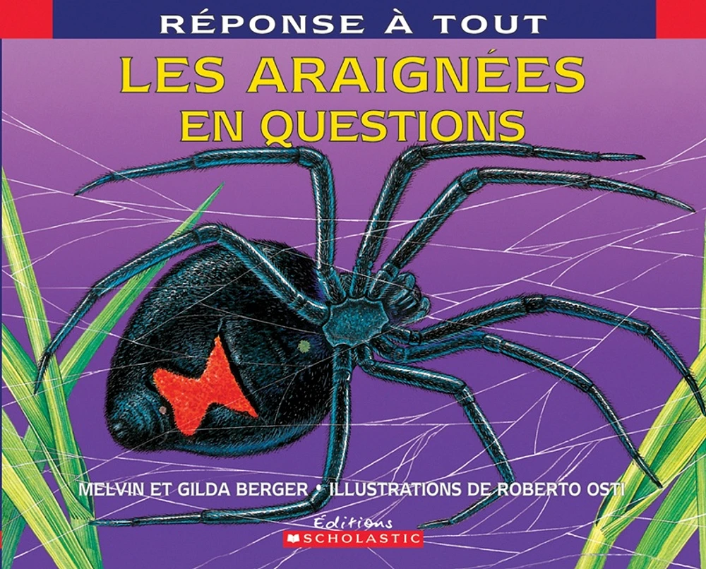 Les araignées en questions