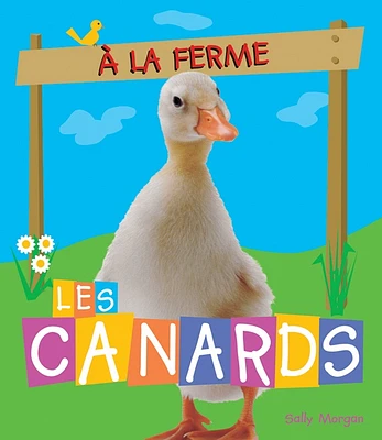 A la ferme: Les canards