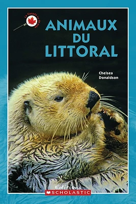 Animaux du littoral