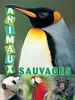 Animaux Sauvages