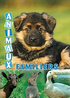 Animaux Familiers