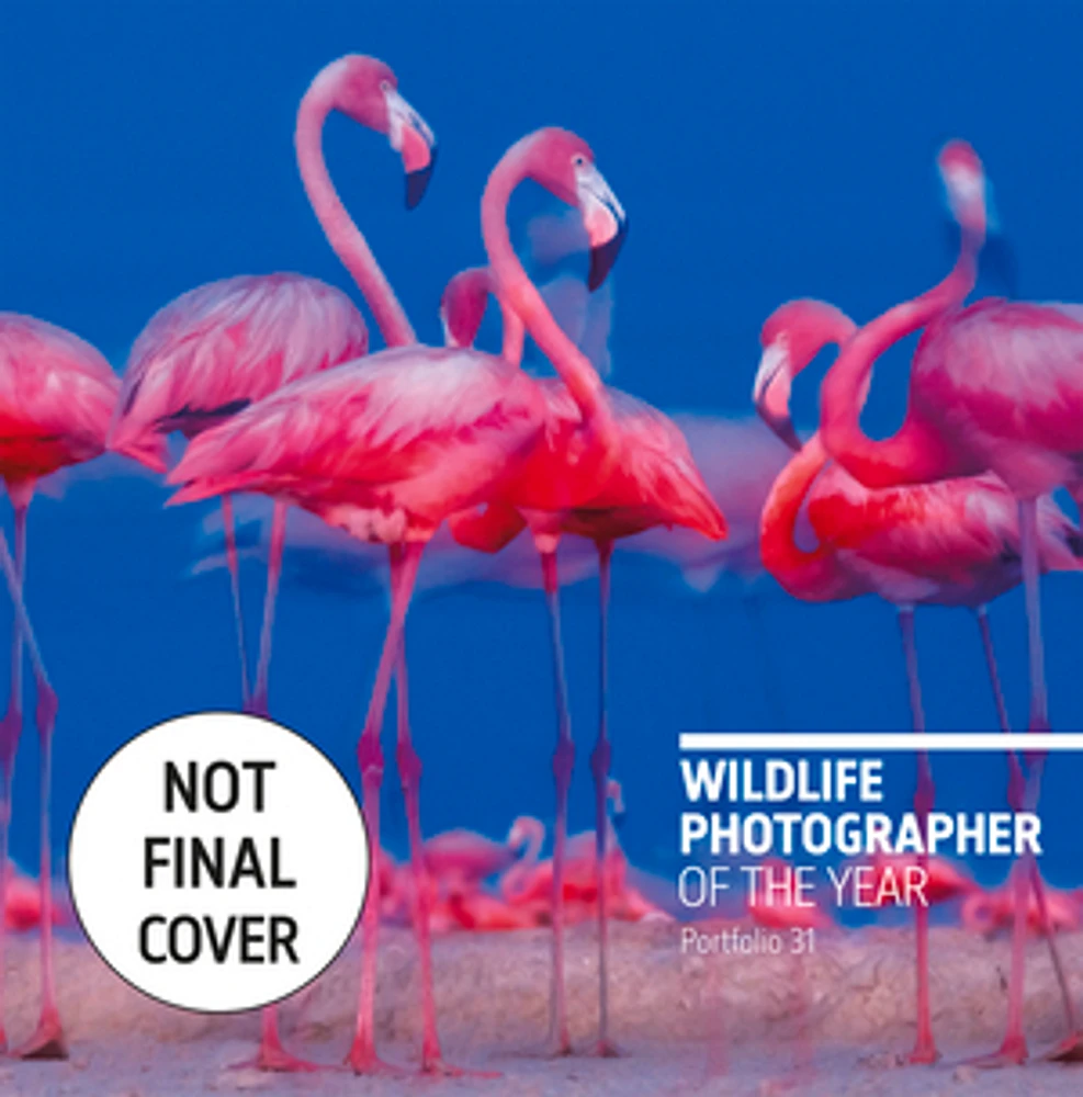 Wildlife Photographer of the Year: Portfolio 31