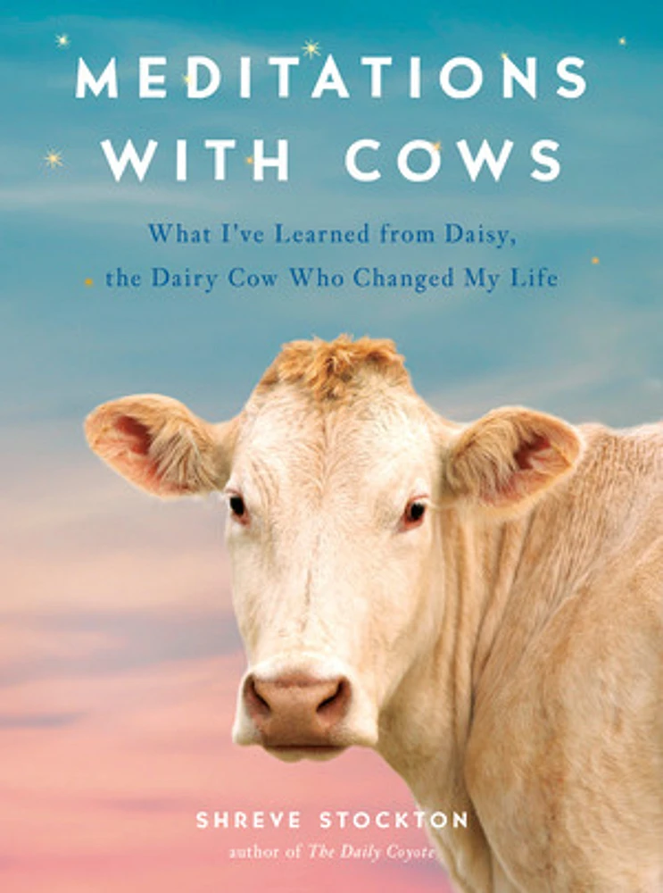 Meditations with Cows