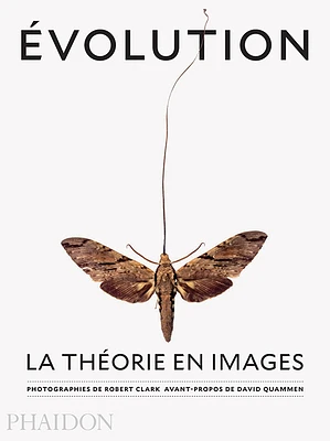 Évolution : la théorie en images