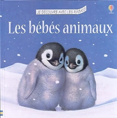 Bébés Animaux